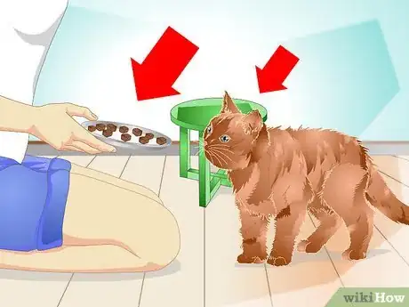 Image titled Teach a Cat to "High Five" Step 21